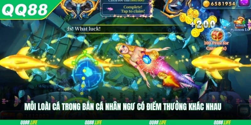 Mỗi loài cá trong bắn cá nhân ngư có điểm thưởng khác nhau